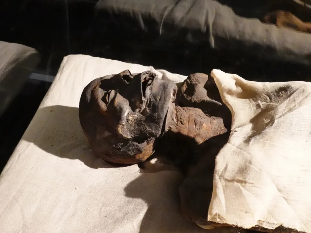 Luxor Museum Mumie