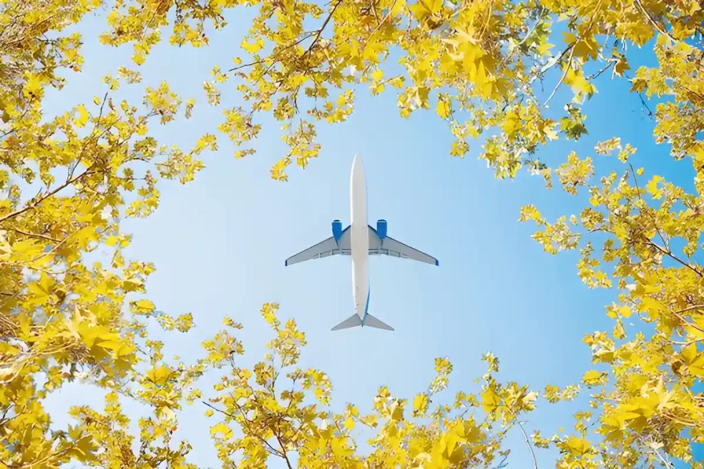 Airplane flying over yellow maple. Concept autumn holiday trip.